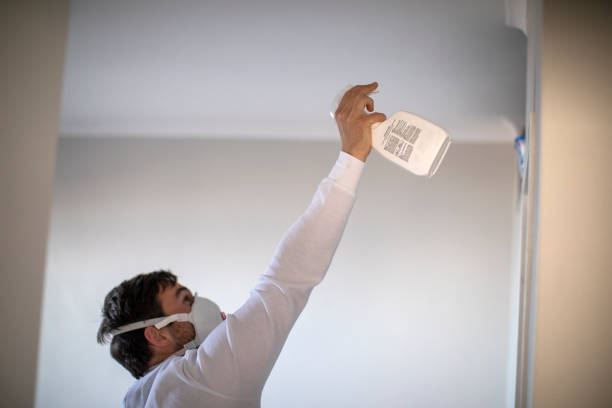 Best Black Mold Remediation in Ansonia, CT